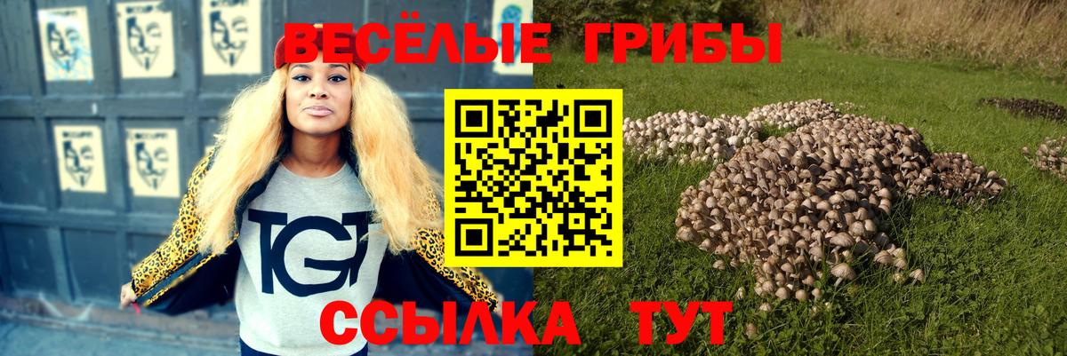 Галлюциногенные грибы Psilocybine cubensis Гурьевск