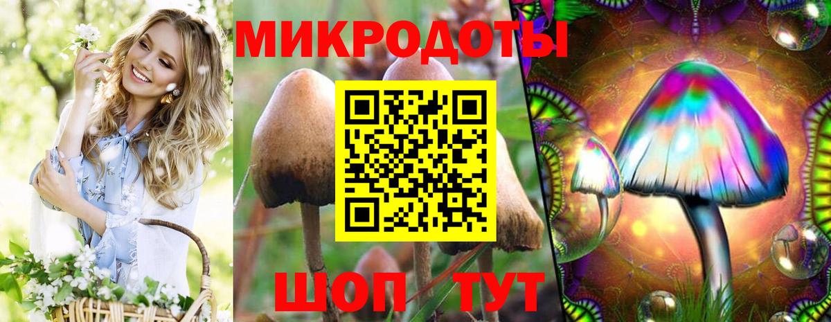 Галлюциногенные грибы Psilocybine cubensis  Вход с VPN  Гурьевск 